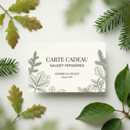 Carte cadeau 150 € Naudet Pépinières : offrez des végétaux