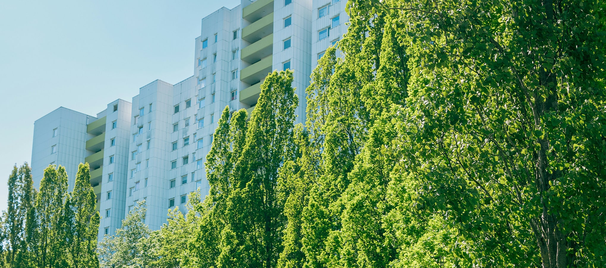 Façade d’immeubles en ville ombragée par une rangée d’arbres denses, solution naturelle contre les îlots de chaleur urbains