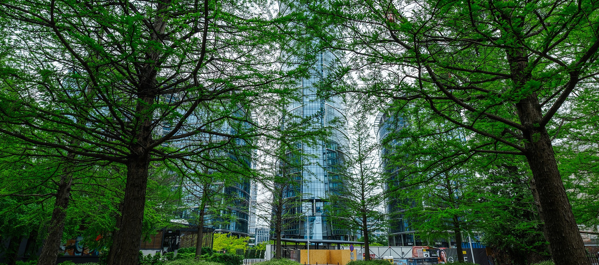 Gratte-ciel modernes en arrière-plan d’une place urbaine arborée, exemple d’intégration de la végétation en milieu dense