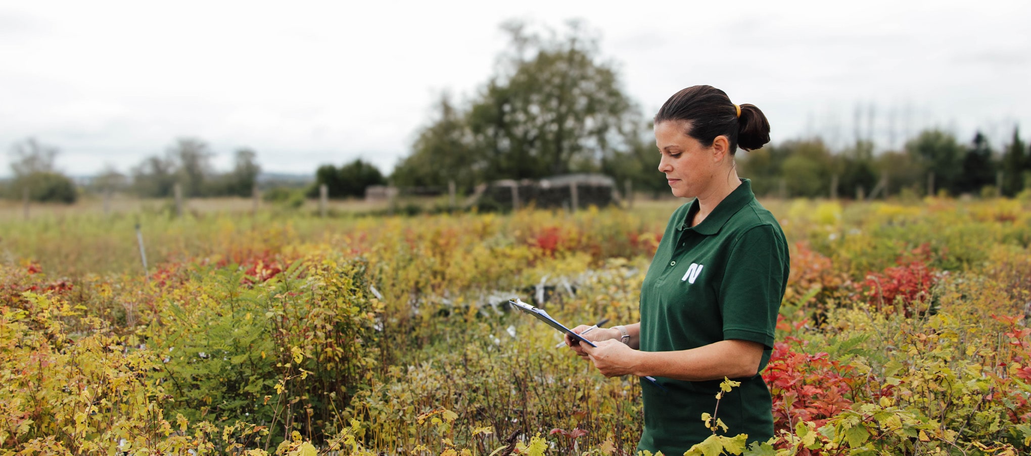 Technicienne des Pépinières Naudet réalisant un contrôle qualité sur des plants en extérieur