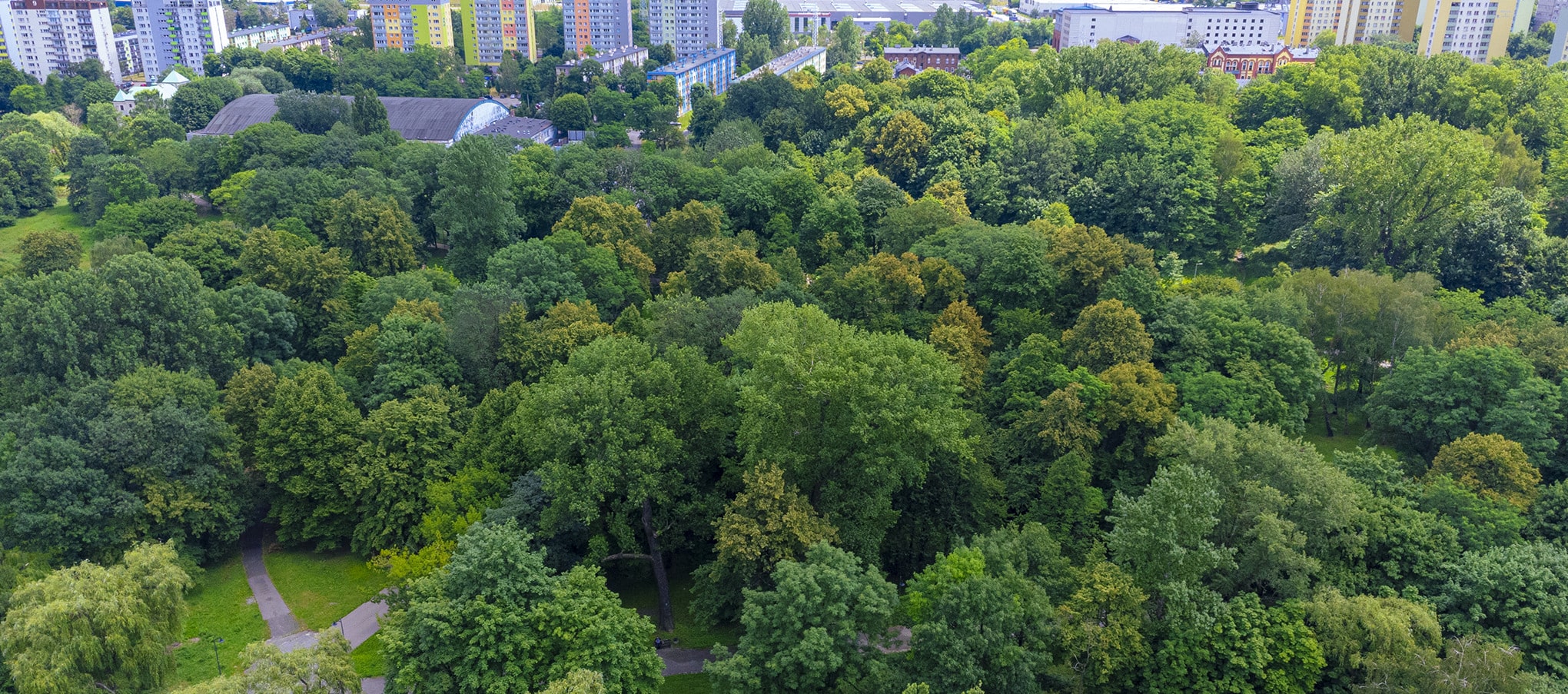 Vue aérienne d’un grand parc arboré au cœur d’une ville, montrant l’intégration de la nature en milieu urbain
