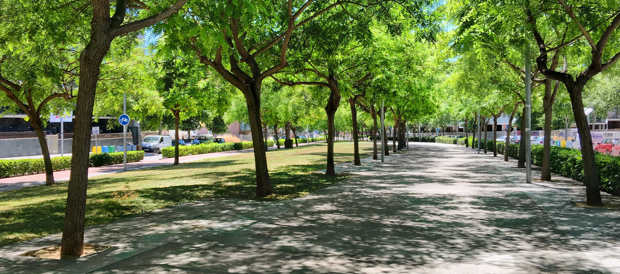 Allée piétonne ombragée par des arbres en ville, créant un îlot de fraîcheur pour les passants