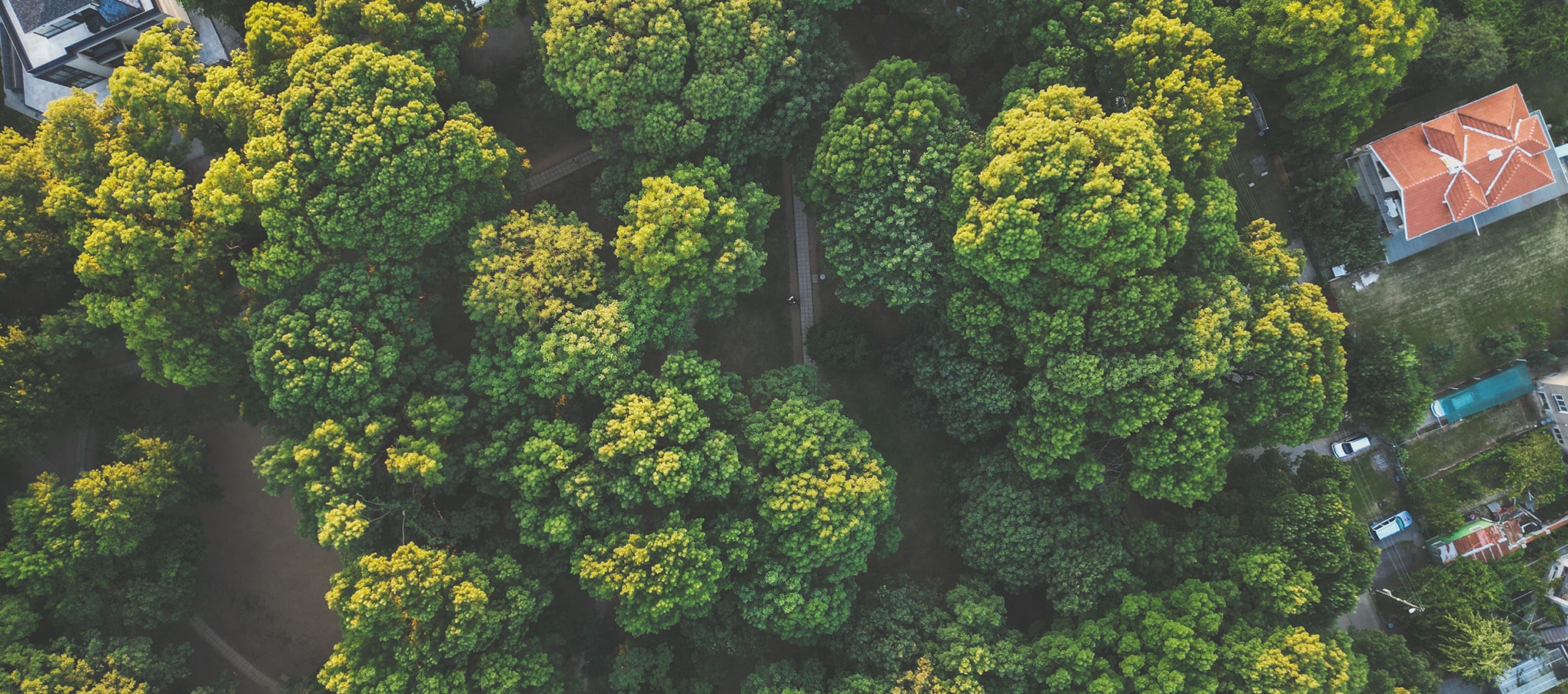 Vue aérienne d’un quartier urbain densément planté, démontrant l’importance de la nature en ville pour le bien-être des habitants