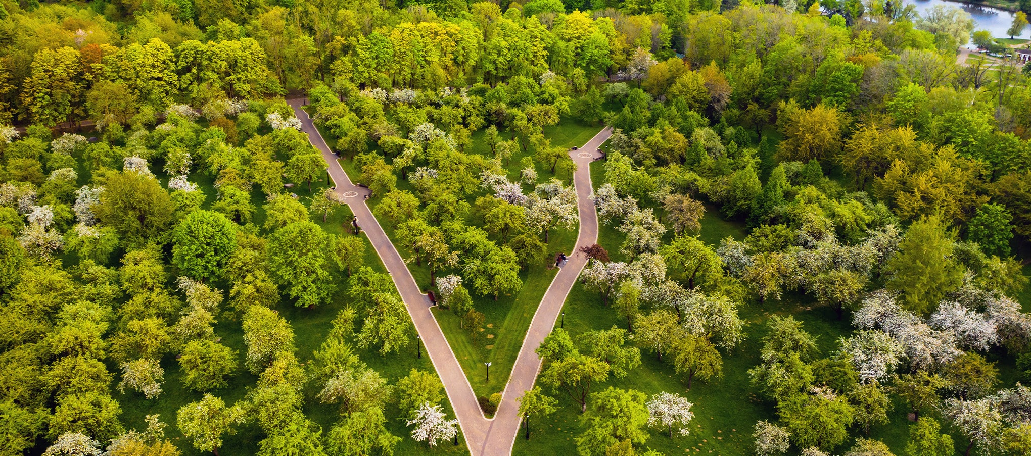 Vue aérienne d’un parc urbain avec de nombreux arbres
