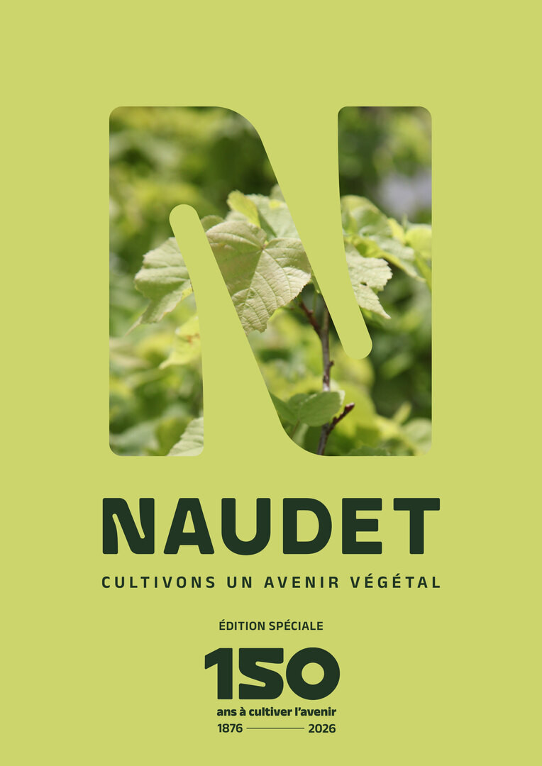 Visualiser notre catalogue :